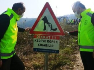 Araç trafiğinin yoğun ve hızlı olduğu yerlere Büyükşehir’den tabela: Kedi ve köpek çıkabilir - Ahmet Emin Yilmaz