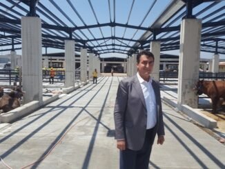 Bu tesis bir numara… 3 bin büyükbaş, 5 bin küçükbaş kurbanlık kapasite - Ahmet Emin Yilmaz