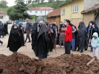 Yenişehir Kirazlıyayla için yerel mahkeme kararı kararını Danıştay’da bozuldu - Ahmet Emin Yilmaz