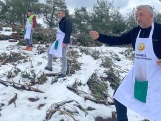 Onların derdi orman… Kar kaplı dağların tepelerine kızılçam tohumları atıyorlar - Ahmet Emin Yilmaz