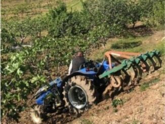 DP kırsal alan raporunda çiftçiyi ayakta tutmak için 4 destek önerisi var - Ahmet Emin Yilmaz