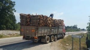 5. YAZI İÇİN KELES YOLU TOMRUK YÜKLÜ KAMYON