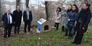 MHP YILDIRIM SOKAK HAYVANLARINA KULÜBE VE YİYECEK