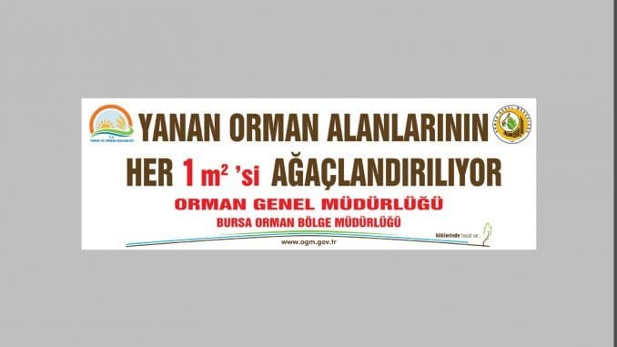 MUDANYA YOLU ORMAN YANGINI ORMAN BÖLGE BİLGİLENDİRME PANKARTLARI MUDANYA YOLU ORMAN YANGINI ORMAN BÖLGE BİLGİLENDİRME PANKARTLARI