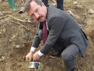HASAN TOKTAŞ İYİ PARTİ OSMANGAZİ FİDAN DİKİM