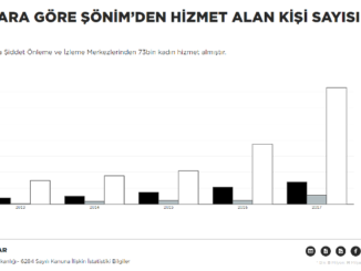 ŞÖNİM DESTEK ALAN KADIN GRAFİĞİ