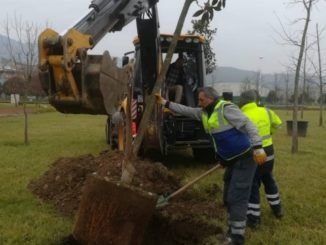 BÜYÜKŞEHİR PARK BAHÇELER BİN FİDAN DİKİLECEK