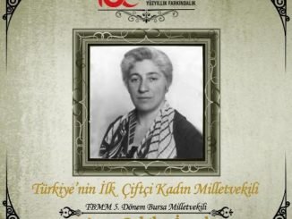 AYŞE ŞEKİBE İNSEL YILLIK VEFA