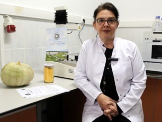 PROF DR DUYGU GÖÇMEN BALKABAĞI UNU ÜRETTİ