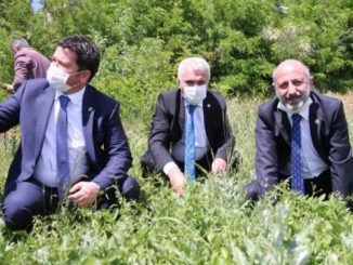 CHP BURSA MİLLETVEKİLİ ERKAN AYDIN ELAZIĞDA ÇİLEK TARLASINDA