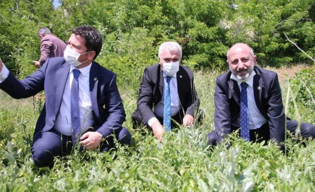 CHP BURSA MİLLETVEKİLİ ERKAN AYDIN ELAZIĞDA ÇİLEK TARLASINDA CHP BURSA MİLLETVEKİLİ ERKAN AYDIN ELAZIĞDA ÇİLEK TARLASINDA
