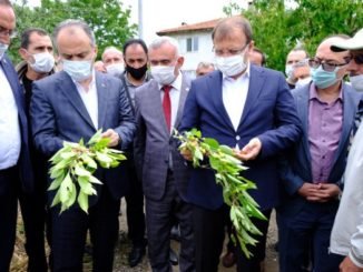 HAKAN ÇAVUŞOĞLU AYHAN SALMAN ALiNUR AKTAŞ KELES DOLU iNCELEMESi