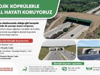 ULAŞTIRMA BAKANLIĞI EKOLOJİK KÖPRÜ DUYURUSU