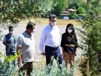 MUDANYA CAGRISAN VE GOYNUKLU BOLGESI YANAN ORMAN YERINE DIKILEN FIDANLAR MUSTAFA ESGIN