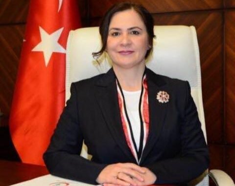 DR ELiF GULER KAZANCI DR ELiF GULER KAZANCI