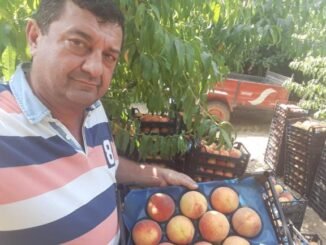 HAKAN EKiM VE iSVECE SEFTALi iHRACI ELSANTA