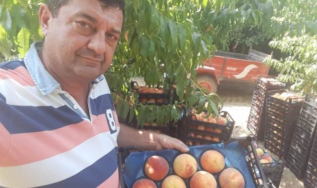 HAKAN EKiM VE iSVECE SEFTALi iHRACI ELSANTA HAKAN EKiM VE iSVECE SEFTALi iHRACI ELSANTA