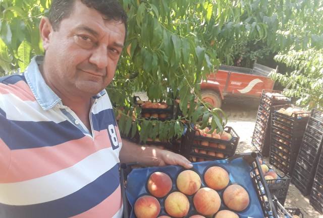 HAKAN EKiM VE iSVECE SEFTALi iHRACI ELSANTA
