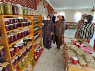 AK PARTi BURSA MiLLETVEKiLi EMiNE YAVUZ GOZGEC VE ORHANELi KADIN KOOPERATiFi ZiYARETi