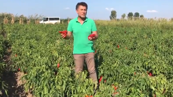 ORHAN SARIBAL ORHAN SARIBAL