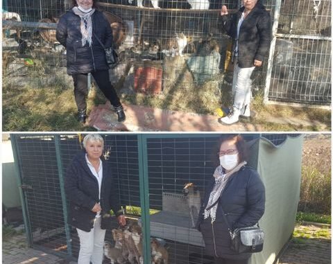 SEVGi BARINAGI PATi SEV BASKANI MEFARET OZMEZ VE EMEL ERKUL SEVGi BARINAGI PATi SEV BASKANI MEFARET OZMEZ VE EMEL ERKUL