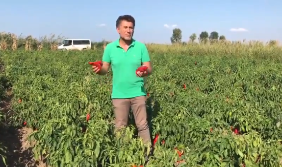 CHP BURSA MiLLETVEKiLi ORHAN SARIBAL CHP BURSA MiLLETVEKiLi ORHAN SARIBAL