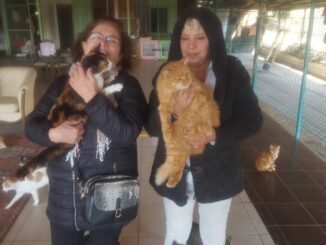 YAZI iCiN BADEMLi SEVGi BARINAGI MEFARET OZMEZ VE EMEL ERKUL
