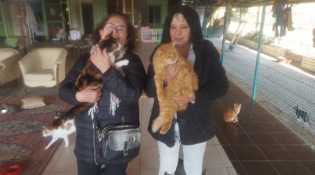 YAZI iCiN BADEMLi SEVGi BARINAGI MEFARET OZMEZ VE EMEL ERKUL YAZI iCiN BADEMLi SEVGi BARINAGI MEFARET OZMEZ VE EMEL ERKUL