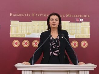 CHP GENEL BASKAN YARDIMCISI PROF DR LALE KARABIYIK