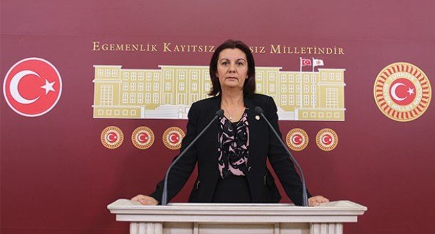 CHP GENEL BASKAN YARDIMCISI PROF DR LALE KARABIYIK CHP GENEL BASKAN YARDIMCISI PROF DR LALE KARABIYIK