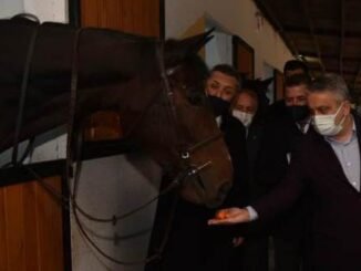 AYHAN SALMAN VE ATLI POLiS