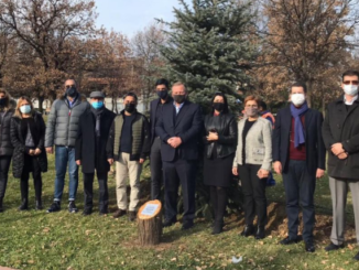 DENiZ SEZGiN iCiN MESELiPARK AGAC DiKiM TORENi