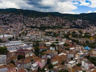 BURSA DEMOGRAFIK YAPI