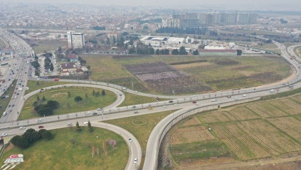 1 ACEMLER KAVŞAĞI