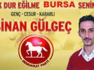 SiNAN GULGEC