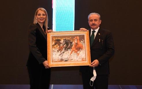 NiLUFER CEViKEL VE TBMM BASKANI MUSTAFA SENTOP NiLUFER CEViKEL VE TBMM BASKANI MUSTAFA SENTOP