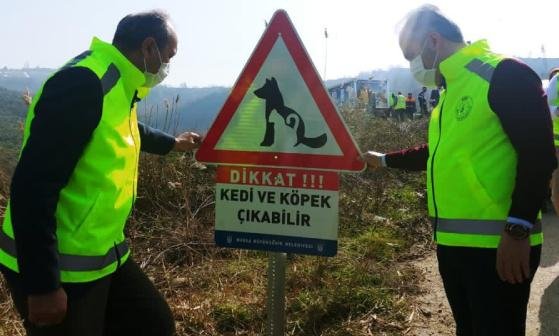 DIKKAT KEDI VE KOPEK CIKABILIR DIKKAT KEDI VE KOPEK CIKABILIR