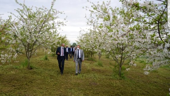 BUU REKTORU PROF DR AHMET SAiM KILAVUZ KAMPUSTA BAG BAHCE DENETiMi BUU REKTORU PROF DR AHMET SAiM KILAVUZ KAMPUSTA BAG BAHCE DENETiMi