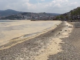 BURGAZ SAHiLLERi DENiZ SALYASI