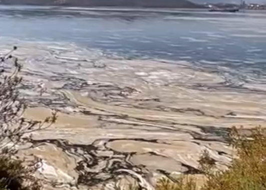 DENiZ SALYASI MARMARA DENiZi OLUYOR DENiZ SALYASI MARMARA DENiZi OLUYOR