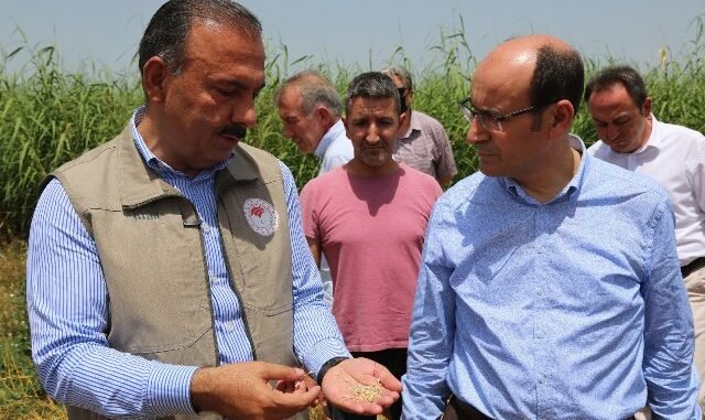 IL TARIM MUDURU HAMIT AYGUL IL TARIM MUDURU HAMIT AYGUL
