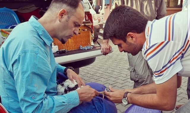 ALPER TUYDES VE LEYLEK FADIL ALPER TUYDES VE LEYLEK FADIL