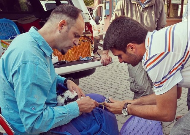 ALPER TUYDES VE LEYLEK FADIL ALPER TUYDES VE LEYLEK FADIL