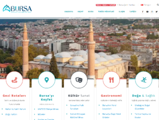 BURSA WEB SAYFASI YAYINDA