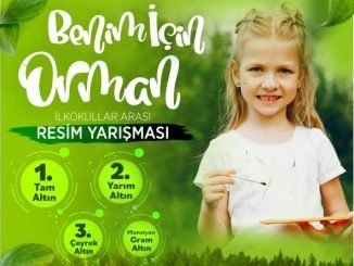 ORMAN GENEL MUDURLUGU ORMAN SECGiSi YARISMASI