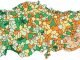 SEGE ARASTIRMASINDA CARPICI KRITERLER VAR