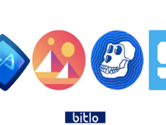 Metaverse Coin