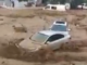 MUDANYADA SEL