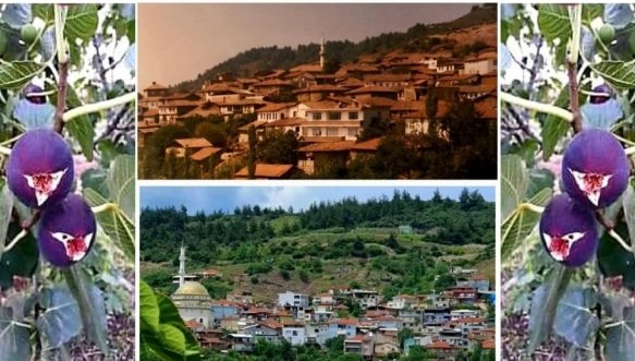 DURDANE KURTULUSUN YILI SEMPOZYUMU VE SIYAH INCIR FESTIVALI