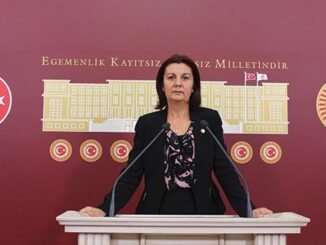CHP GENEL BASKAN YARDIMCISI PROF DR LALE KARABIYIK